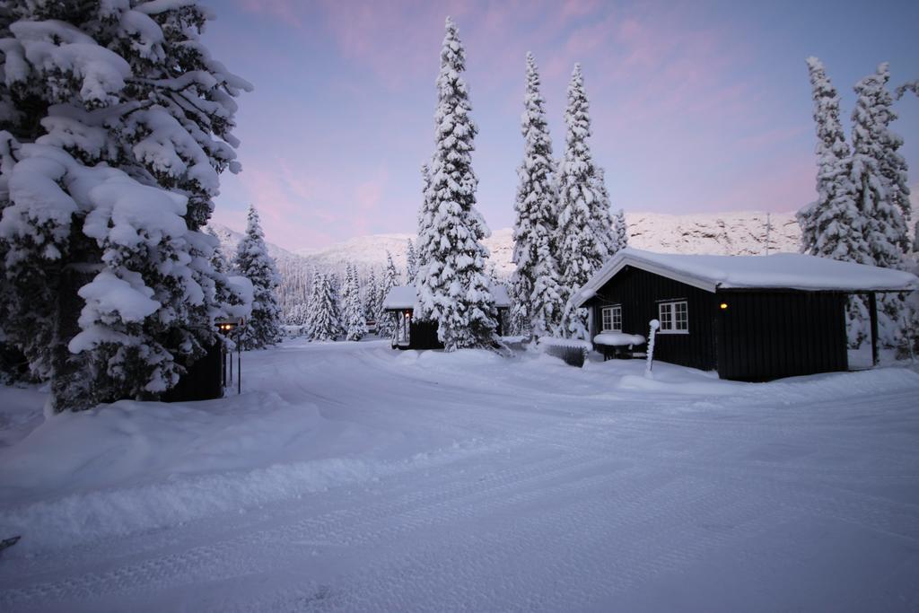 Apartamento Haglebu Feriesenter Eggedal Exterior foto